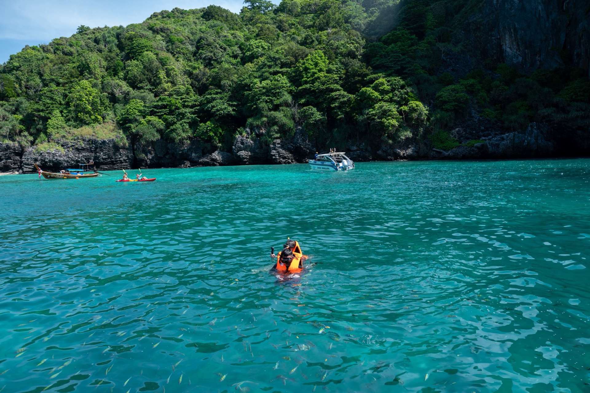 Snorkeling - Home