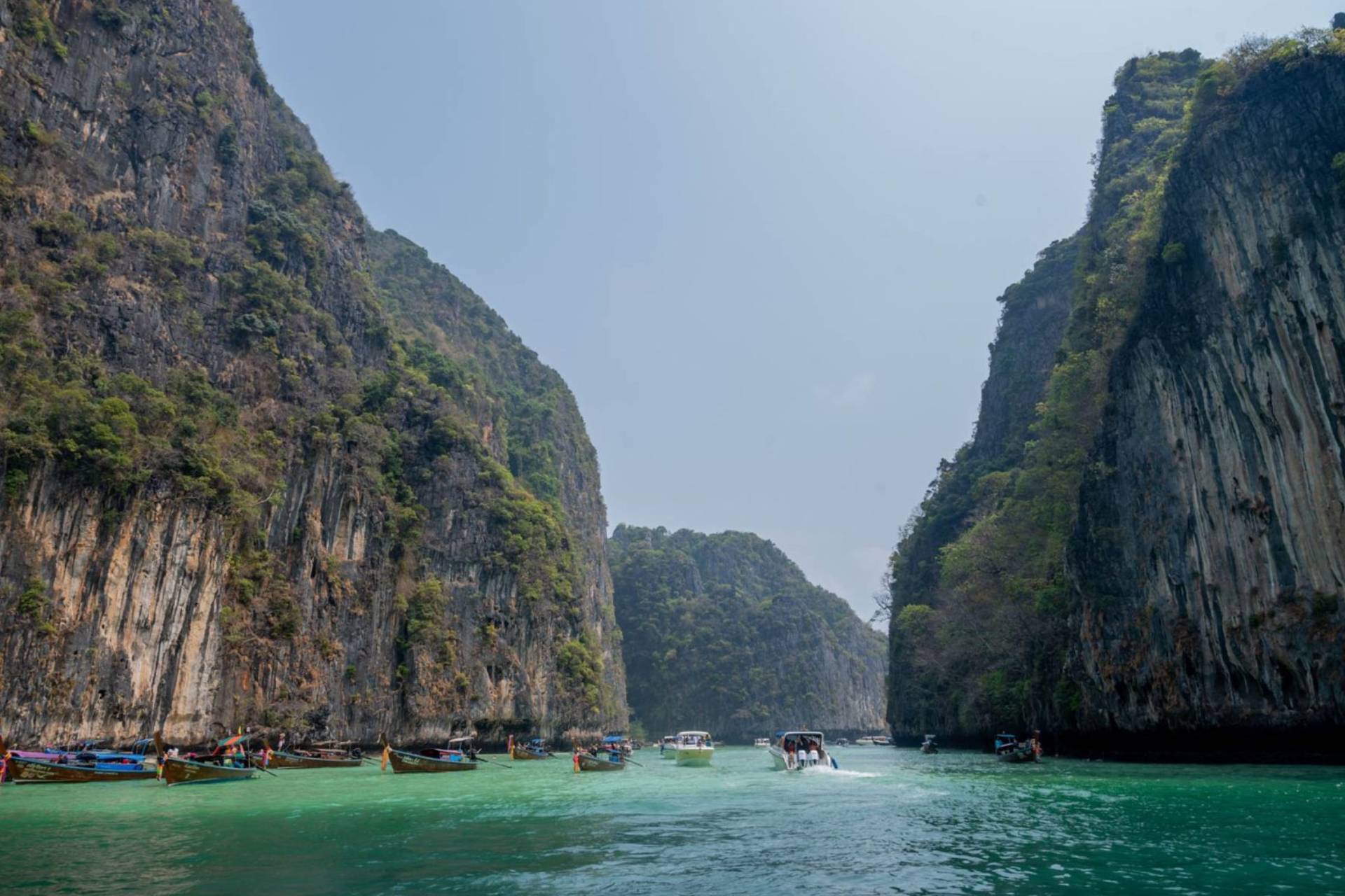Phi Phi Island Day Trip